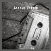 Little Things (with S∆V∆DO) - Single