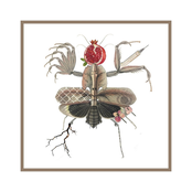 5-Way Worldwide Split