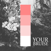 Your Bruise