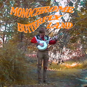 Monochrome Butterfly Land