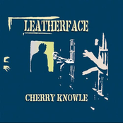 This Land by Leatherface