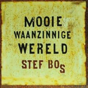Mooie Waanzinnige Wereld