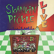Little Brown Jug by Skankin' Pickle