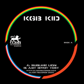 Sublime Lion / Any Bwoy Test