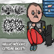 Hallucinogenic Extreme Anxiety