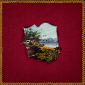 Tu amor es como la piel de las manzanas