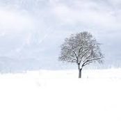 Shared World (Radio Edit)