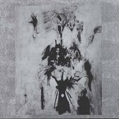 The Inevitable Chrystal Belle Scrodd Record