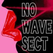 no wave sect