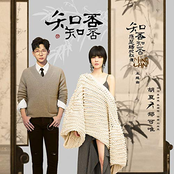 知否知否 ("知否知否应是绿肥红瘦" 电视剧主题曲)