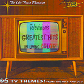 Television's Greatest Hits, Volume 5: In Living Color
