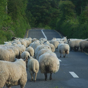 Recent Encounters With God