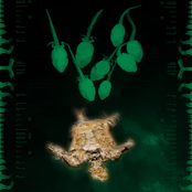 Humanity Shall Never Rise