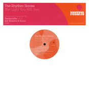 The Light You Will See