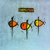 Stupid Fish by Three Fish