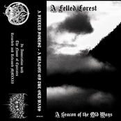 A Beacon Of The Old Ways