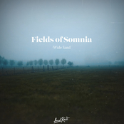 Fields of Somnia
