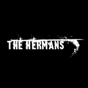 The Hermans
