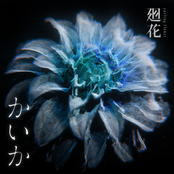 かいか - Single