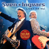 Det Liv Du Lever Nu by Sven-ingvars