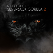 Silverback Gorilla 2