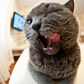 Хватаясь [EP]