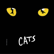 Cats The Musical