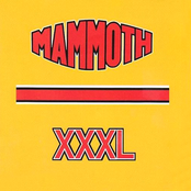 Xxxl