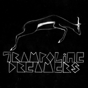 Black Gold by Trampoline Dreamers