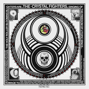 Bridge Of Bones by Crystal Fighters