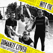 Teenage Bottlerocket