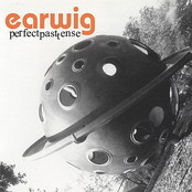 Anything by Earwig