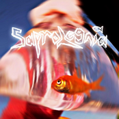 LIFE AS A CARNIVAL PRIZE