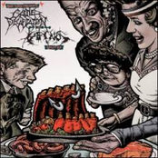 Cattle Decapitation/Caninus split 7"