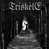 ...Les Murmures De La Forêt