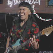 Use My Fkn Pronouns - Single