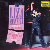 How Deep Is The Ocean by Liza Minnelli