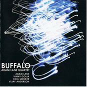 Buffalo