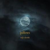 pillows - Single