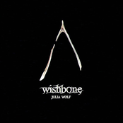 Julia Wolf: Wishbone