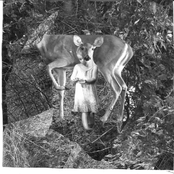 Simultaneous Contrast