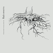 Raíz Spinetta - Versiones Folkloricas, Vol. 1