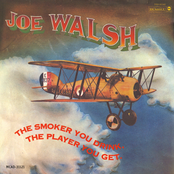 Wolf by Joe Walsh