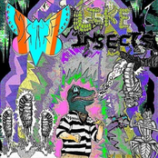 Like Insects