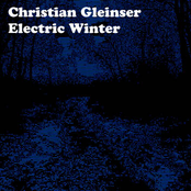 Electric Winter by Christian Gleinser
