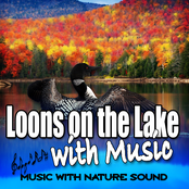 Loons on the Lake with Music