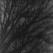 Dull
