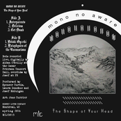 The Shape of Your Head