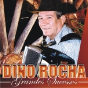 dino rocha