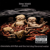 Livin' It Up by Limp Bizkit